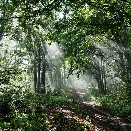 Lodge Luxusni Chalupa V Klidne Casti Roznova Pod Radhostem - Beskyd Rožnov pod Radhoštěm