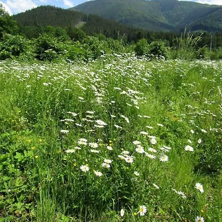 Luxusni Chalupa V Klidne Casti Roznova Pod Radhostem - Beskyd Lodge *